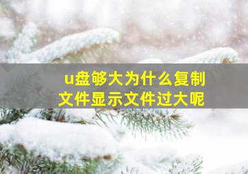 u盘够大为什么复制文件显示文件过大呢