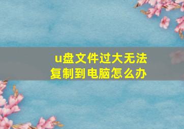 u盘文件过大无法复制到电脑怎么办