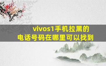 vivos1手机拉黑的电话号码在哪里可以找到