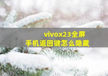 vivox23全屏手机返回键怎么隐藏