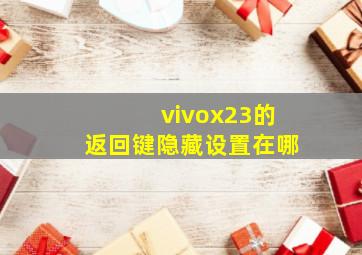 vivox23的返回键隐藏设置在哪