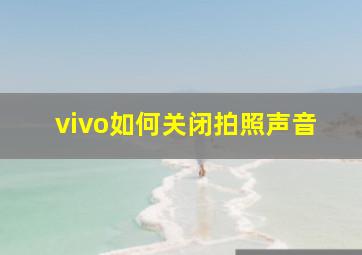 vivo如何关闭拍照声音