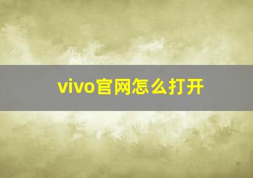 vivo官网怎么打开