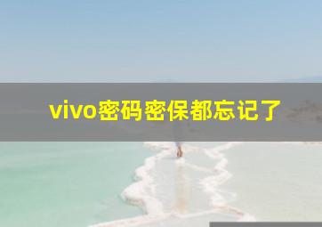 vivo密码密保都忘记了