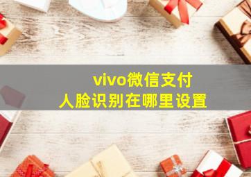 vivo微信支付人脸识别在哪里设置