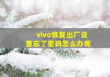 vivo恢复出厂设置忘了密码怎么办呢