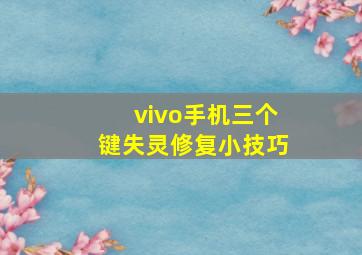 vivo手机三个键失灵修复小技巧