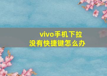 vivo手机下拉没有快捷键怎么办