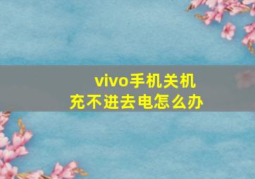 vivo手机关机充不进去电怎么办