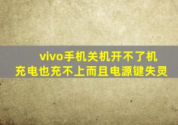 vivo手机关机开不了机充电也充不上而且电源键失灵