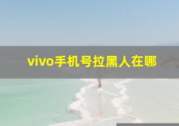 vivo手机号拉黑人在哪