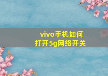 vivo手机如何打开5g网络开关