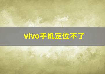 vivo手机定位不了