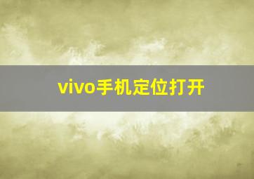 vivo手机定位打开