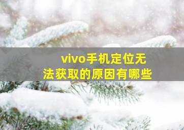 vivo手机定位无法获取的原因有哪些