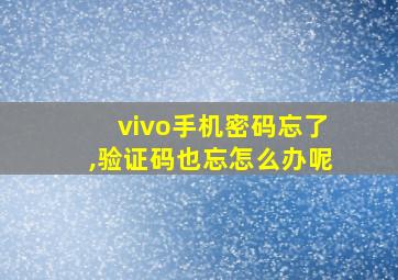 vivo手机密码忘了,验证码也忘怎么办呢