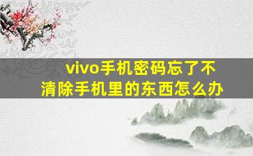 vivo手机密码忘了不清除手机里的东西怎么办