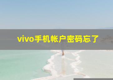 vivo手机帐户密码忘了