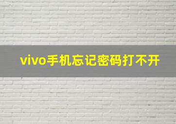 vivo手机忘记密码打不开