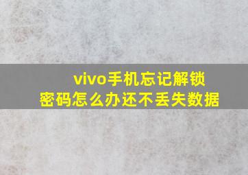 vivo手机忘记解锁密码怎么办还不丢失数据