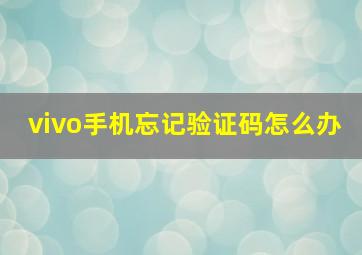 vivo手机忘记验证码怎么办