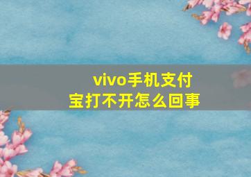 vivo手机支付宝打不开怎么回事