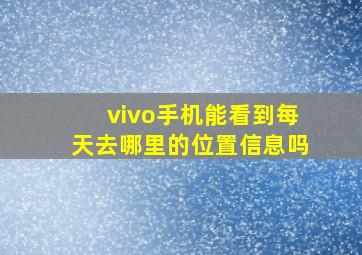 vivo手机能看到每天去哪里的位置信息吗