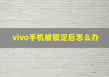 vivo手机被锁定后怎么办