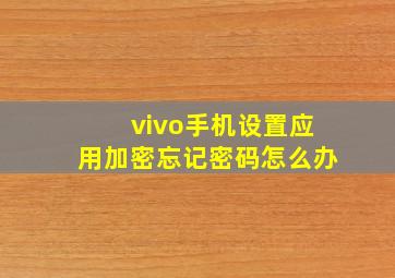 vivo手机设置应用加密忘记密码怎么办