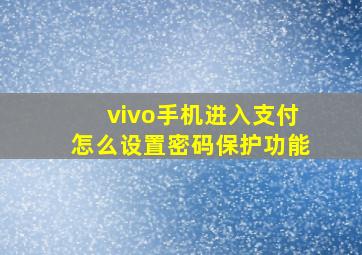 vivo手机进入支付怎么设置密码保护功能