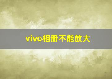 vivo相册不能放大