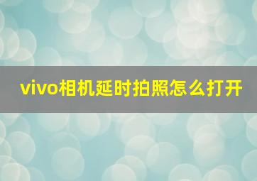 vivo相机延时拍照怎么打开