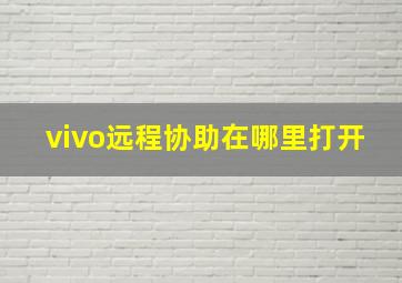 vivo远程协助在哪里打开