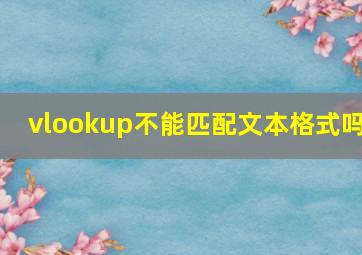 vlookup不能匹配文本格式吗