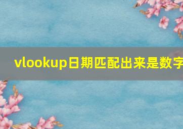 vlookup日期匹配出来是数字