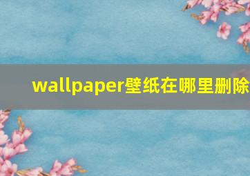 wallpaper壁纸在哪里删除