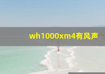 wh1000xm4有风声