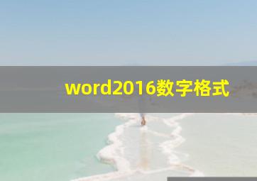 word2016数字格式