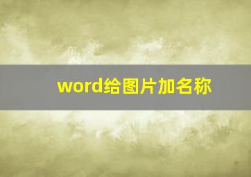 word给图片加名称