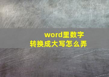 word里数字转换成大写怎么弄