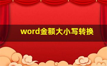 word金额大小写转换