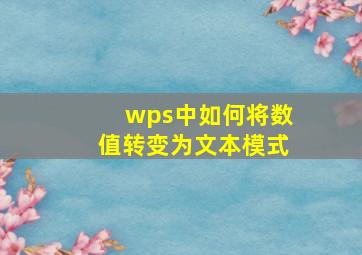 wps中如何将数值转变为文本模式