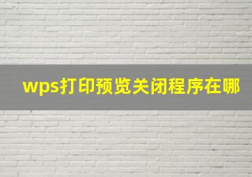 wps打印预览关闭程序在哪