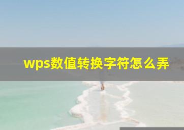 wps数值转换字符怎么弄