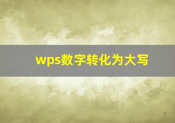 wps数字转化为大写