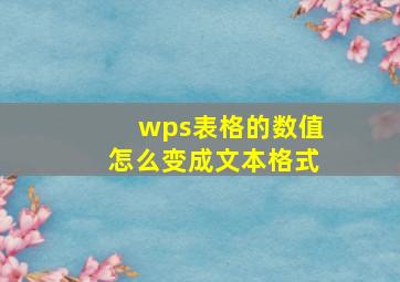 wps表格的数值怎么变成文本格式