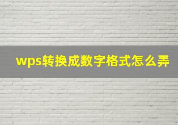 wps转换成数字格式怎么弄