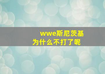 wwe斯尼茨基为什么不打了呢