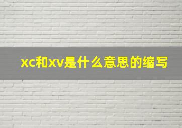 xc和xv是什么意思的缩写