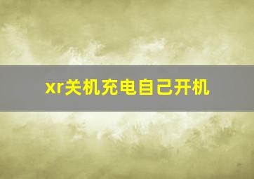 xr关机充电自己开机